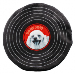 Dog Life Record Disc Dog Toy